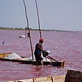 Récolte du sel sur le lac rose